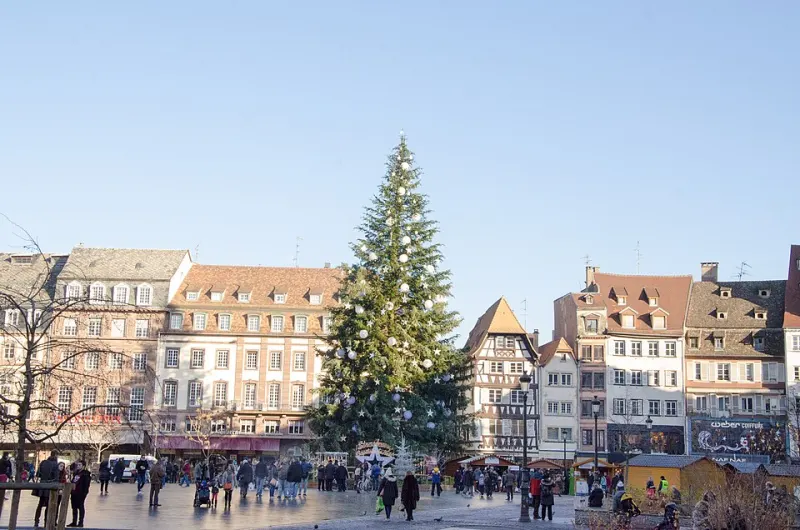 Grand sapin de Noël place Kléber à Strasbourg